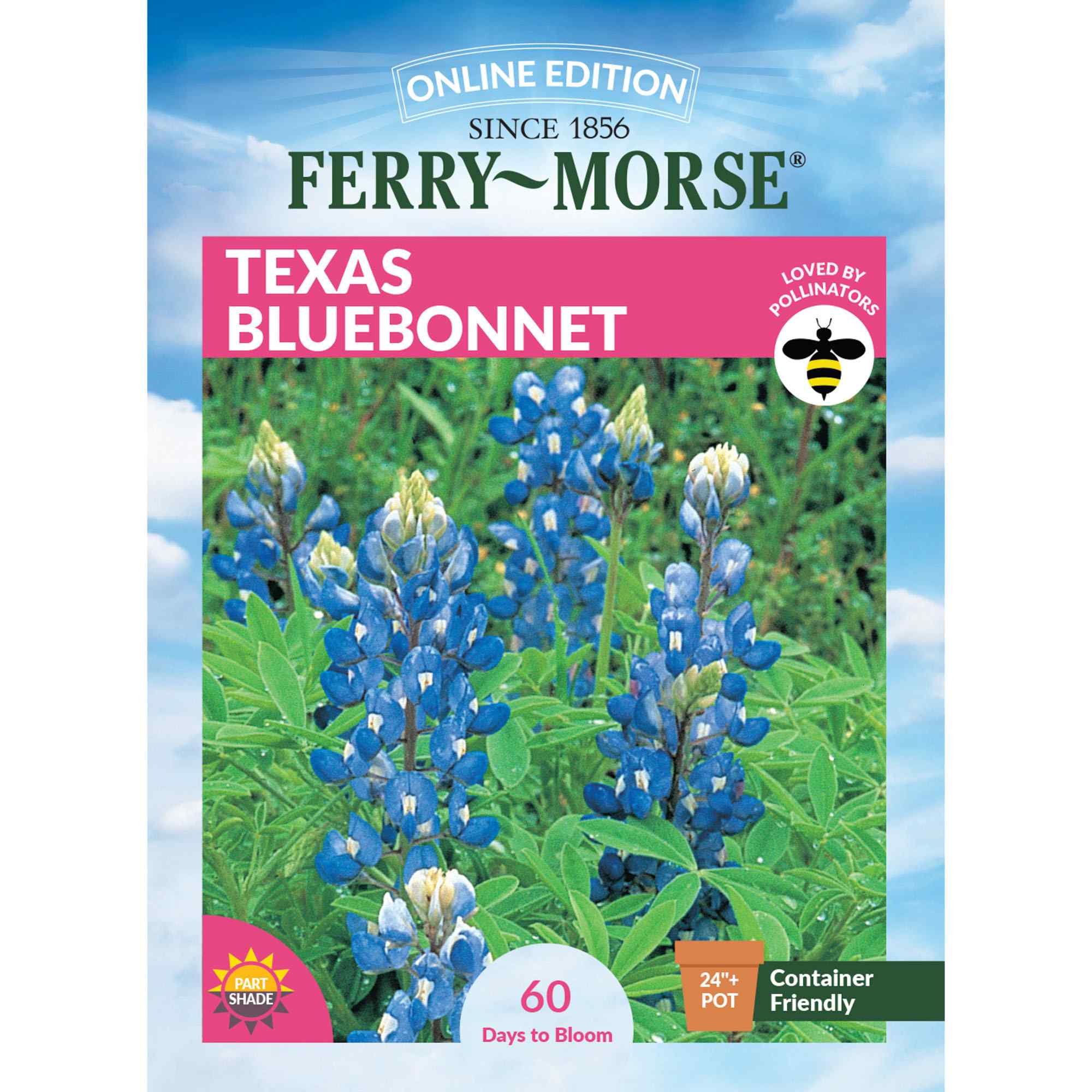 Texas bluebonnet front of packaging